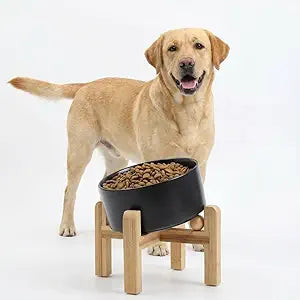 Petygooing Black Elevated/Raised 15 Slanted Ceramic Dog Bowl for Large and Medium Breeds, Pet Anti Slip Feeding Bowl,Food Water Dish with Stand for Large and Medium Dogs (60 OZ / 7.6 Cup)