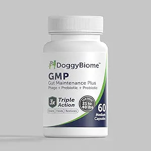 Animal Biome Gut Maintain Probiotics and Prebiotics for Dogs - Reduce Diarrhea Flareups - for Medium Dogs (60 Capsules)