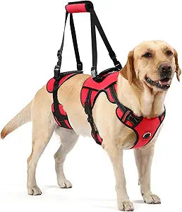 NOYAL Dog Lift Harness for Senior & Injured Pets Full-Body Support Sling with Breathable Mesh, Front/Rear Leg Assist for Arthritis, Hip Dysplasia & Post-Surgery Recovery (Medium-Large Breeds)