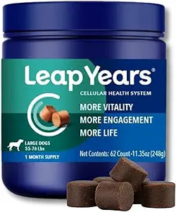 Leap Years Soft Chew Dog Health Supplement Dog Cognitive Supplement, Supports Longevity of Your Pet, Brain, Heart & Muscle; Powerful NAD for Dogs + Senolytic Formula, Vet-Formulated, Large Breed