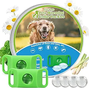 Natural Dog Tag for Flea & Tick Prevention Waterproof Collar Pendant 2Pack with 4 Extra Refills, Safe for All Breeds, Collar Not Included,Green