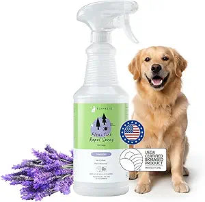 kin+kind Flea and Tick Prevention for Dogs Plant Based Flea Spray with Rosemary, Lemongrass & Cedarwood Oil Pet Supplies for Bugs and Pests Flea & Tick Pet Spray Prevention - Lavender 32 fl oz