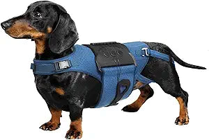 Dog Back Brace for IVDD, Arthritis, Slipped and Herniated Discs Provides Back Support and Pain Relief, Stabilizes Spine for Surgical Recovery and Mobility, Dogs Back Disease Prevention(Blue,S)
