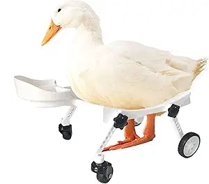 Pet Ducks Wheelchair - Adjustable Mobility Aid for Small Animals Adjustable Height for Comfortable Use Mobility Aid Cart with All-Terrain Wheels.