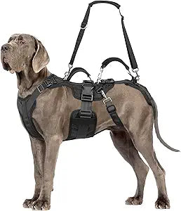 Dog Lift Harness, Dog Support & Recovery Sling for Full-Body & Hind/Front Leg Pee-Able Design for Large/Medium Dogs All-in-One Ideal Assistance for Senior, Disabled, Arthritic & ACL Canines (L)