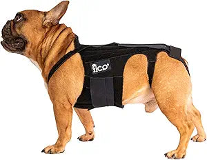 Dog Back Brace Adjustable Spine Support for IVDD, Arthritis & Post-Surgery Recovery Lightweight, Durable & Vet Approved 5 Sizes (XS XL) (Large)