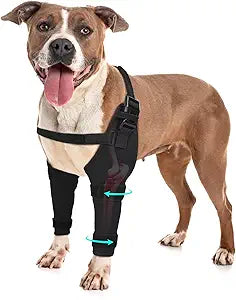 Dog Elbow Protector Brace, Dog Leg Sleeves Anti-Licking for Hygroma, Calluses & Arthritis Relief Adjustable Dogs Elbows Pads & Shoulder Brace for Elbow Dysplasia and Injury Recovery, M