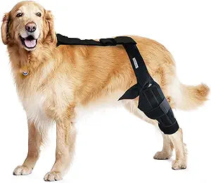 Dog Knee Brace for Hind & Rear Legs Canine Leg Support for ACL, CCL, and Cruciate Ligament Injuries, Arthritis, and Post-Surgery Recovery Adjustable, Durable, Black, Size L