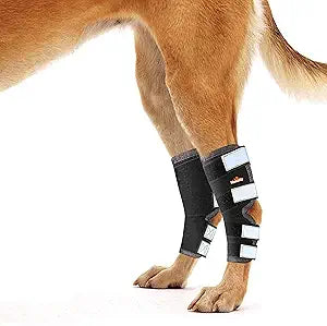 NeoAlly - Rear Leg Hock Brace, Dog Leg Brace for Rear Leg, Hock & Ankle Support for Hind Legs, Dog Brace for Torn Acl and Ccl, Long Version, X-Small, 1 Pair